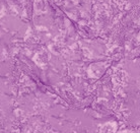 Batiks Hand-Dyes Razzmic Berry Fabric (QUARTER YARD increments)